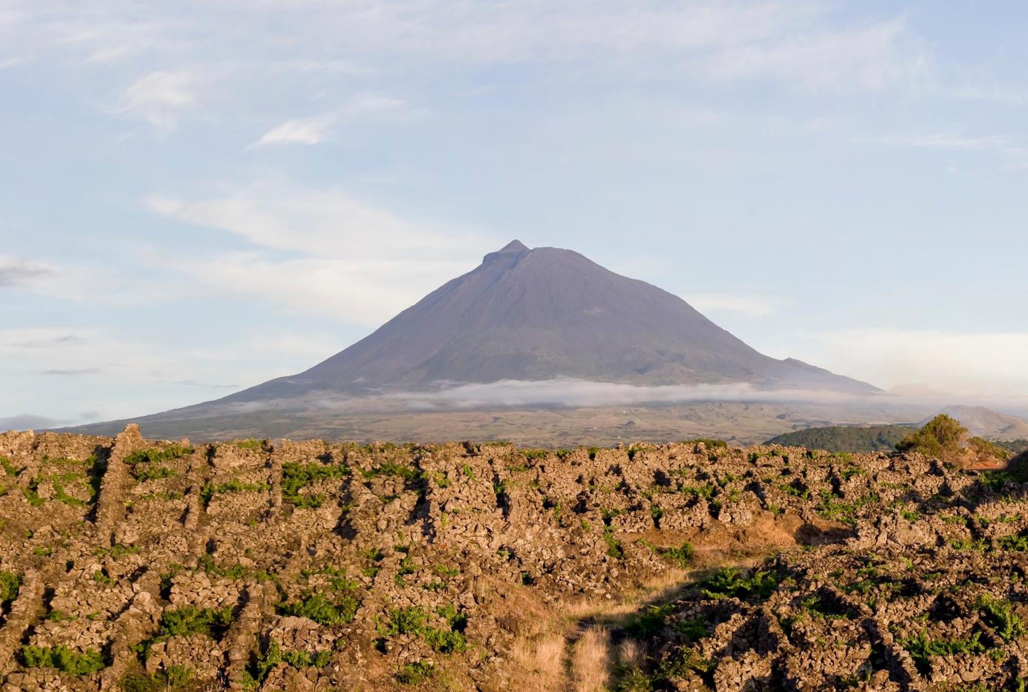 Casas Das Portas Do Mar E Das Portas Do Sol São Roque do Pico Zewnętrze zdjęcie